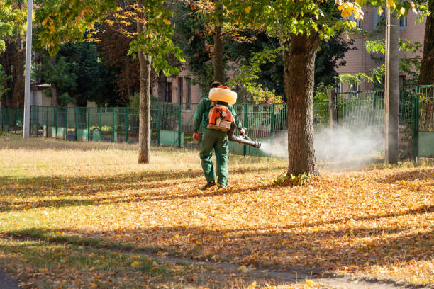 Best Pest Inspection Near Me  in Spring Valley, CA